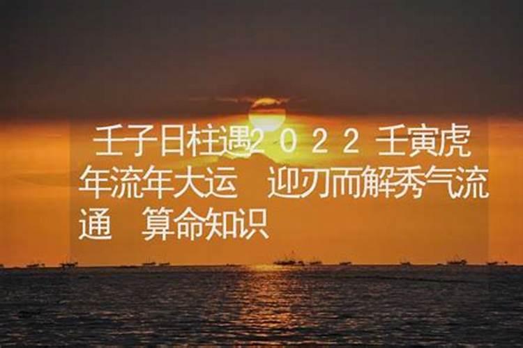 己亥日主遇2022壬寅流年