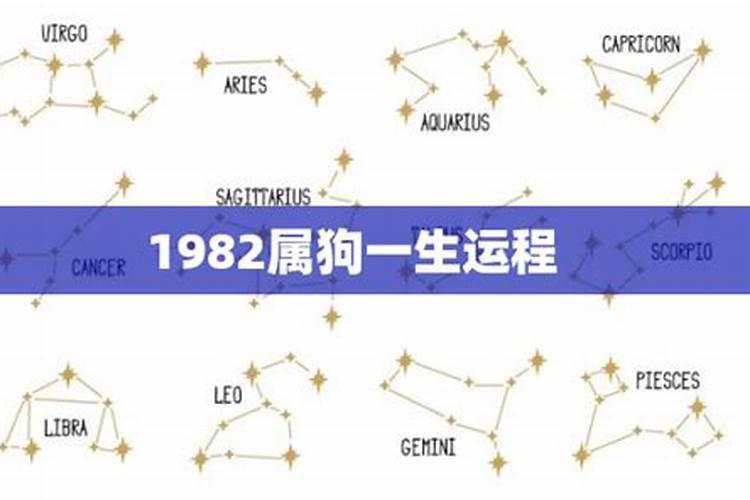 1982狗人全年运势如何