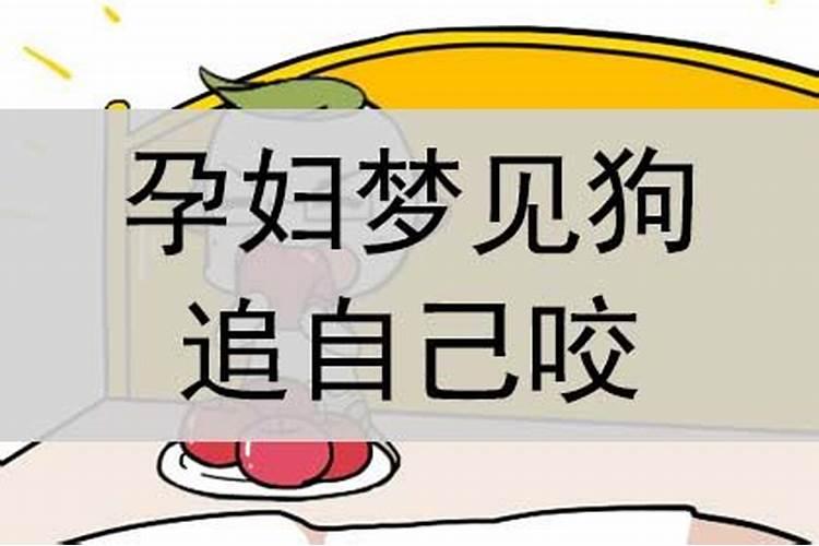 孕妇梦见狗追自己咬是什么意思