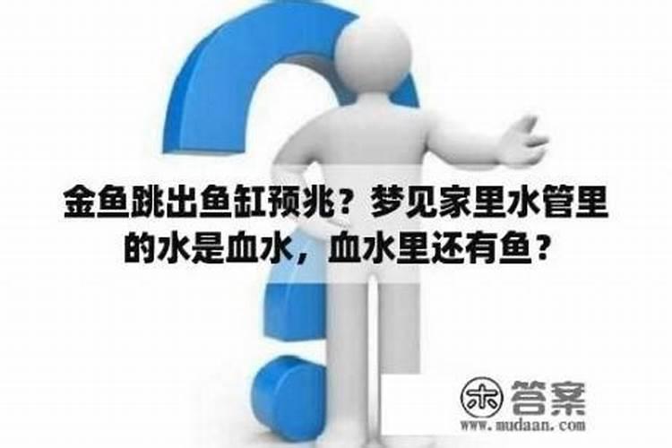 梦见红色金鱼跳出来了