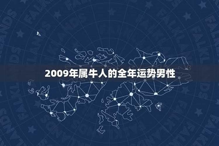 2009年属牛的命运和性格分析男