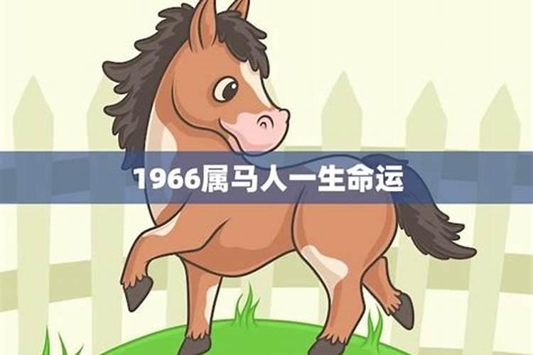 66年属马女一生运程