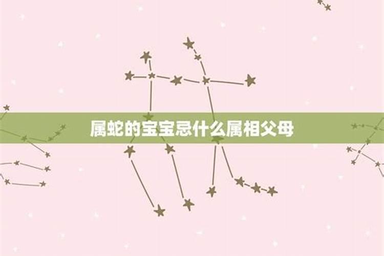 属蛇的躲星忌什么属相