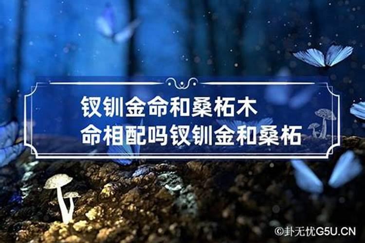 属兔的2020年犯太岁会怎么样