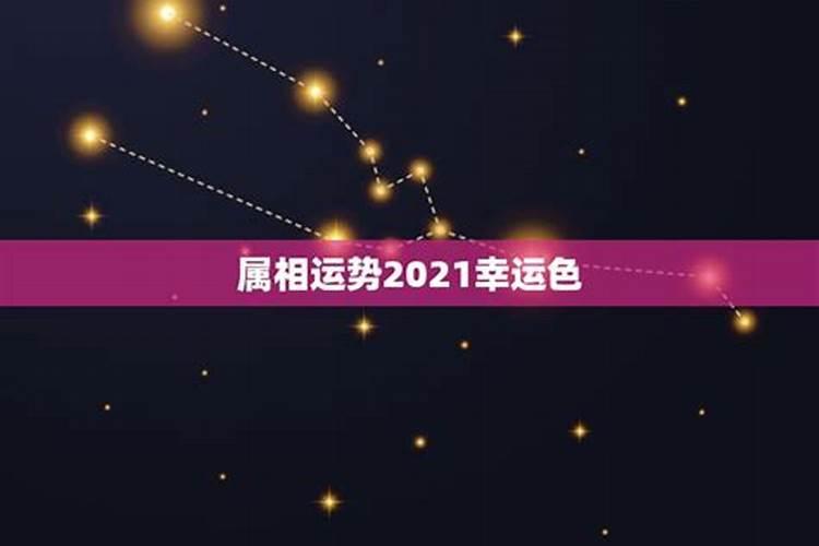 今年属相2021属相运势