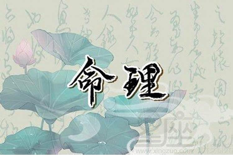 火兔今年运势怎么样