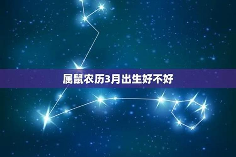 属鼠2023年运势农历3月出生好吗