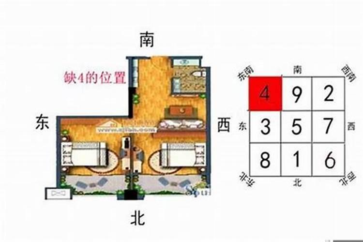 属猪今年81岁运程