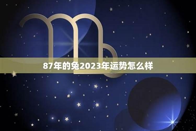 87年的兔在2023年的运势