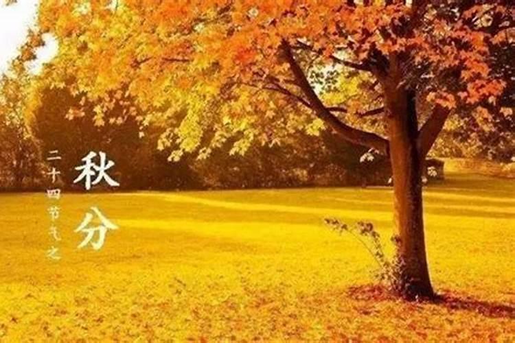 秋分什么节日