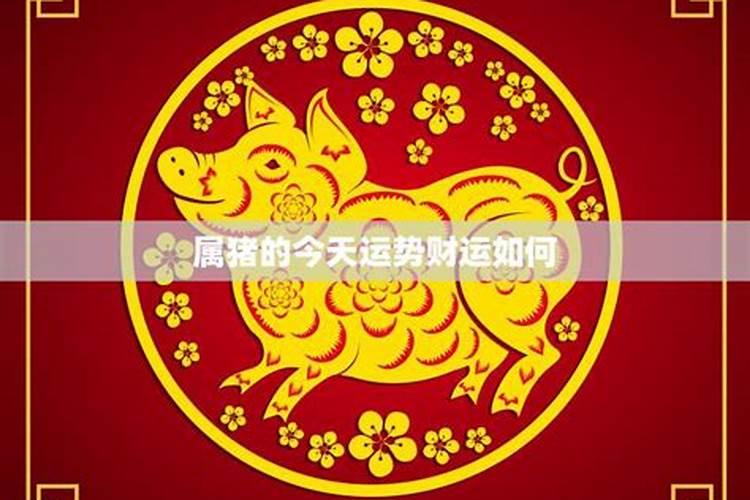 属猪的今年8月份运势