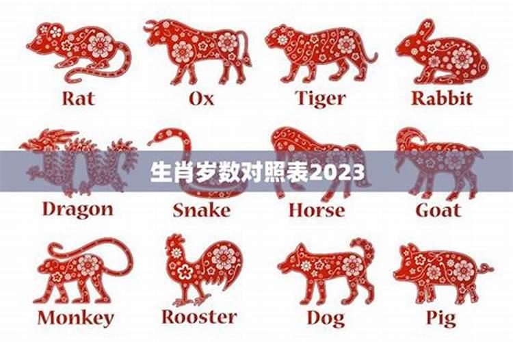 2023年哪个生肖最大