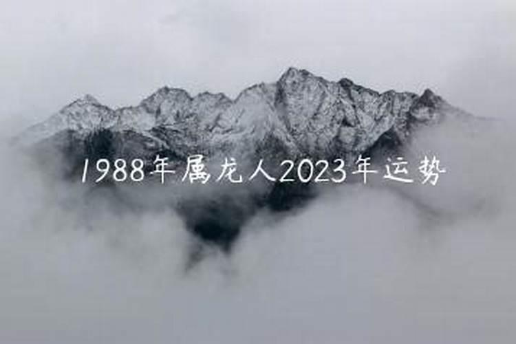 1988年2023年运势