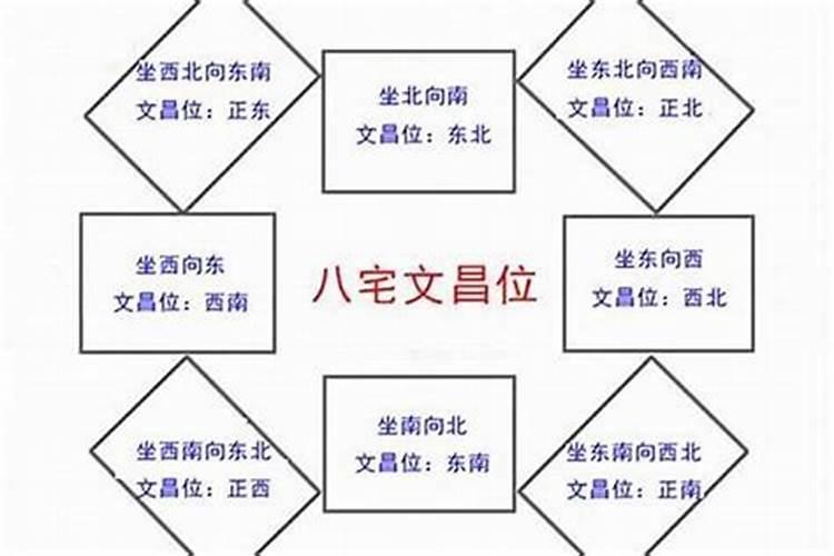 梦到怀孕的狗狗什么意思周公解梦