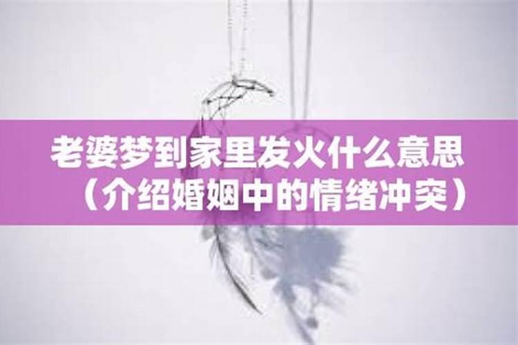 梦见别人家里发火是什么意思呀