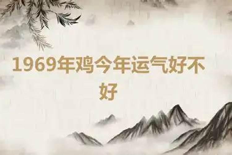 1969年的鸡今年的运气