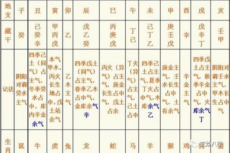 八字藏干丙