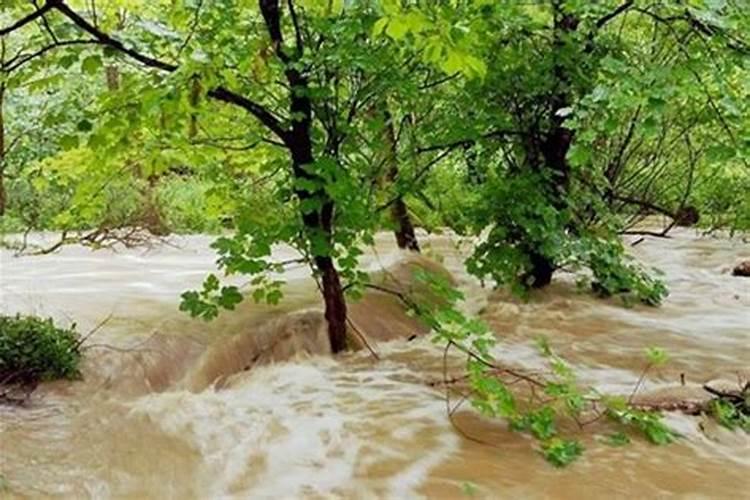 梦见下大雨河水涨了很多水