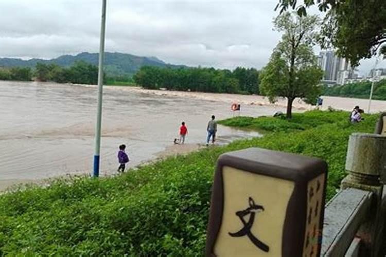 梦见下雨涨水好多鱼