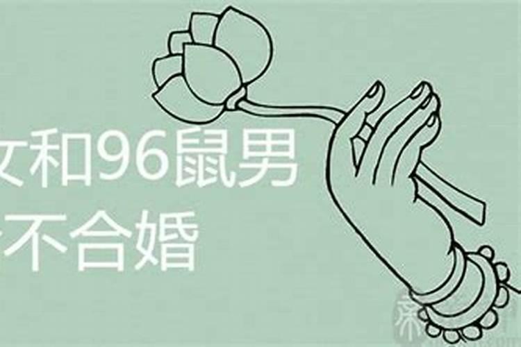 95属猪跟99属兔的合不合