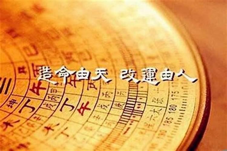 2023年5月27号属蛇的运势怎么样