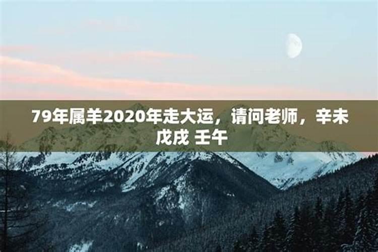 辛未羊2020年运势女