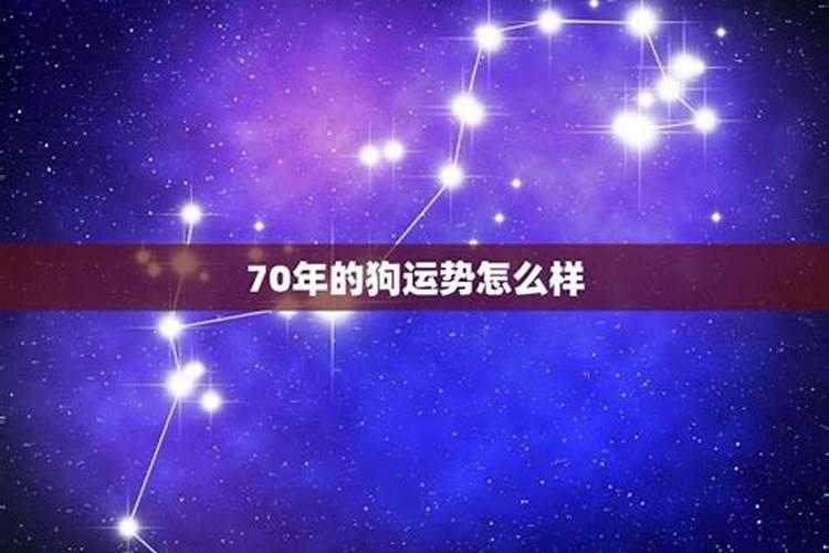 70年的狗2021年的命运