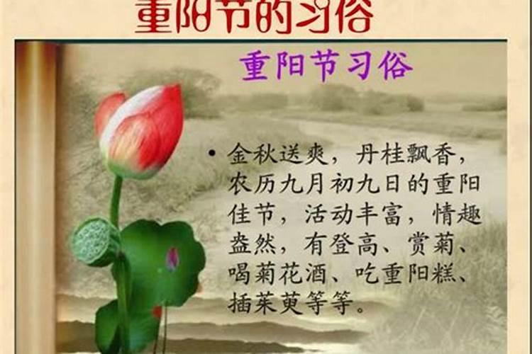 重阳节是谁的节日,有哪些风俗