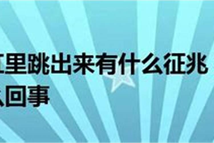 梦到很多鱼从鱼缸里跳出来