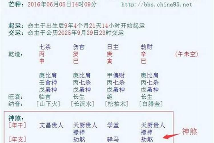 八字硬和八字软是什么意思啊