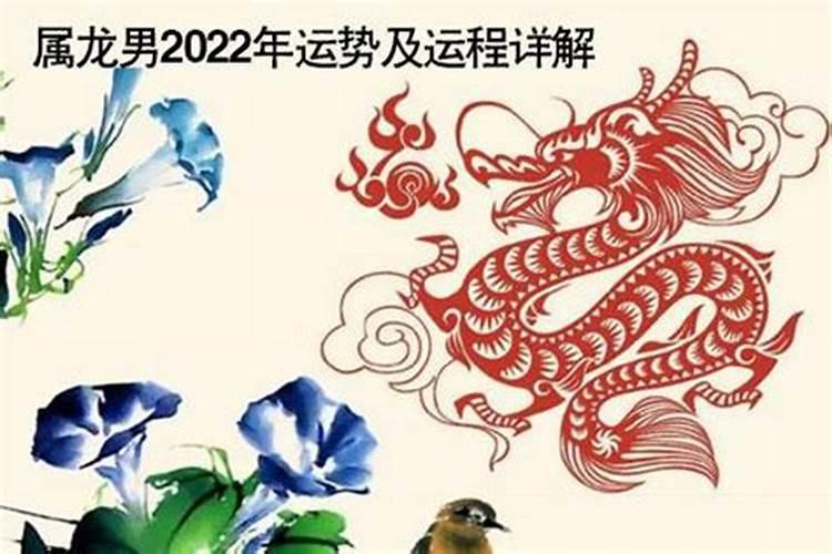 属猪运势2022年运势详解1995出生