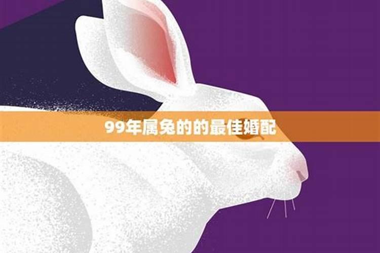 属兔的99年的