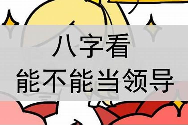 适合做领导的八字