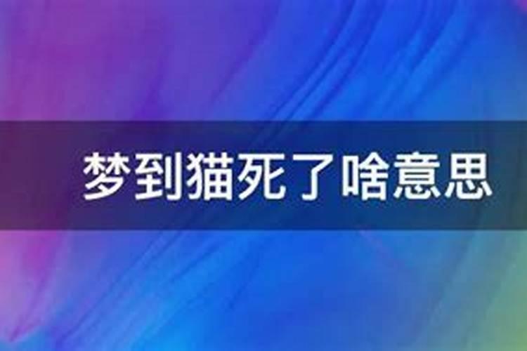 梦到猫死了啥意思