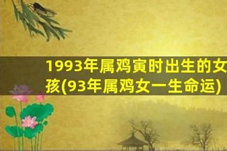 兔人2023下半年运势运程如何