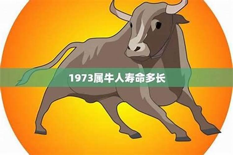 73年属牛人农历10月运程如何