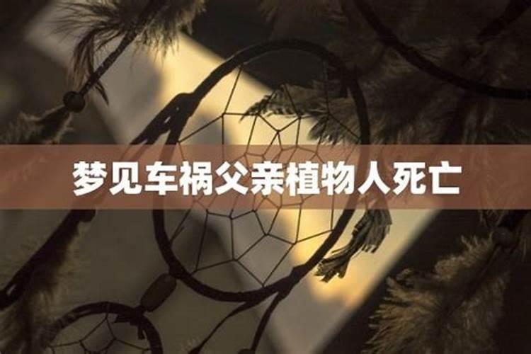 梦见妻子死亡了正在埋葬