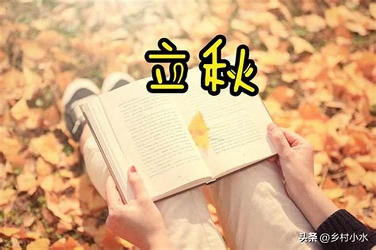 什么八字的人数学成绩好