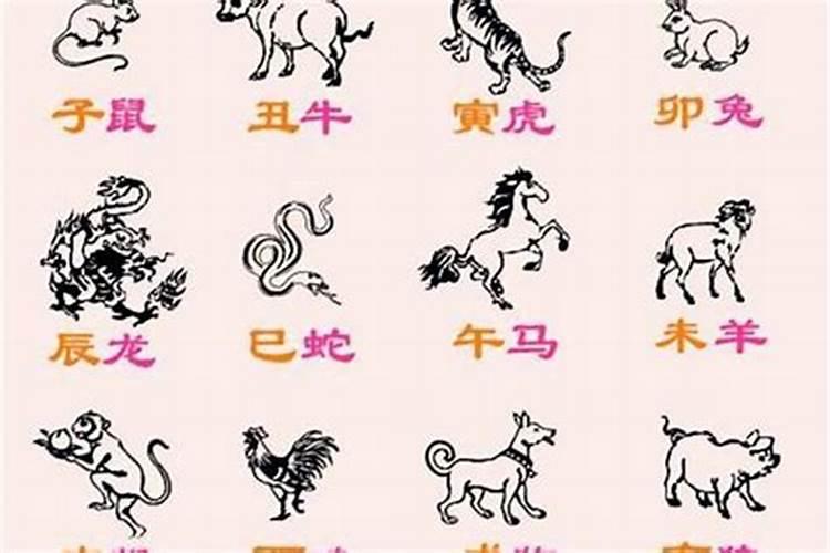 2021年生肖猪克太岁吗