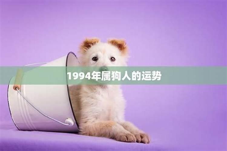 1994年8月属狗2021年运势