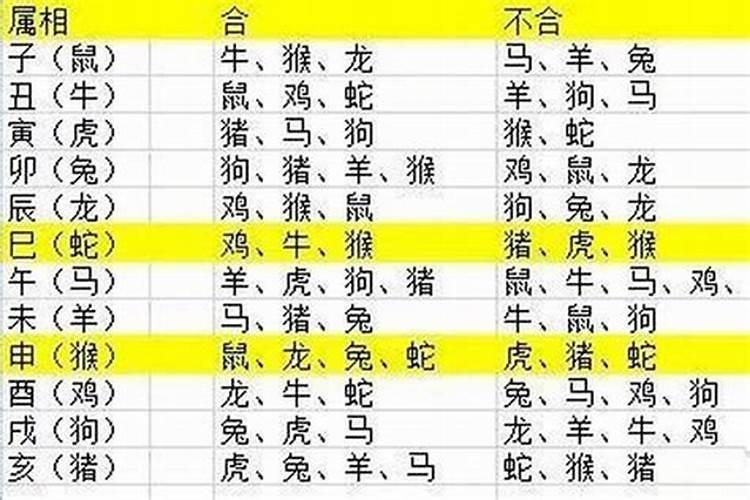 2023年小孩属什么的