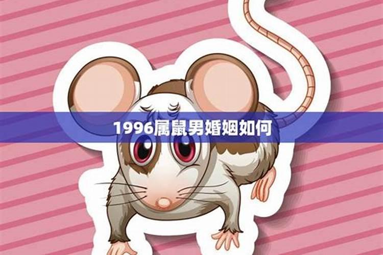 1996属鼠男生的命运婚姻