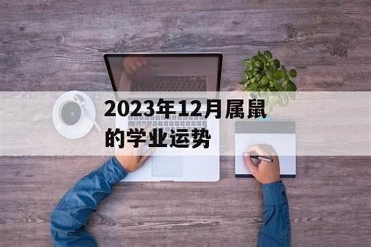 2023年属鼠的学车运势怎样