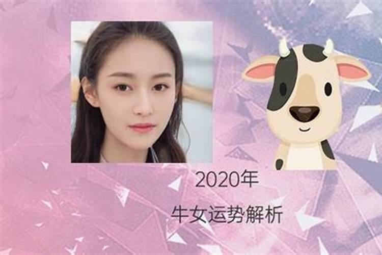 属牛女73年2020年每个月的运程