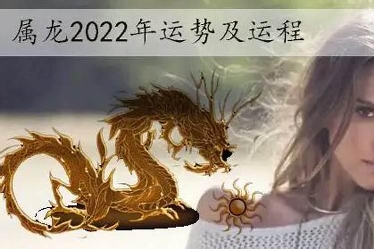 农历2023属龙的运势如何