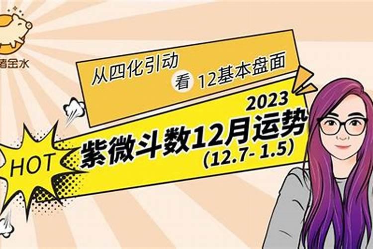 猫石对话之12月猫2023年运势