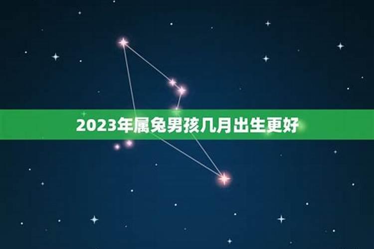 2023年属兔宝宝运势怎么样