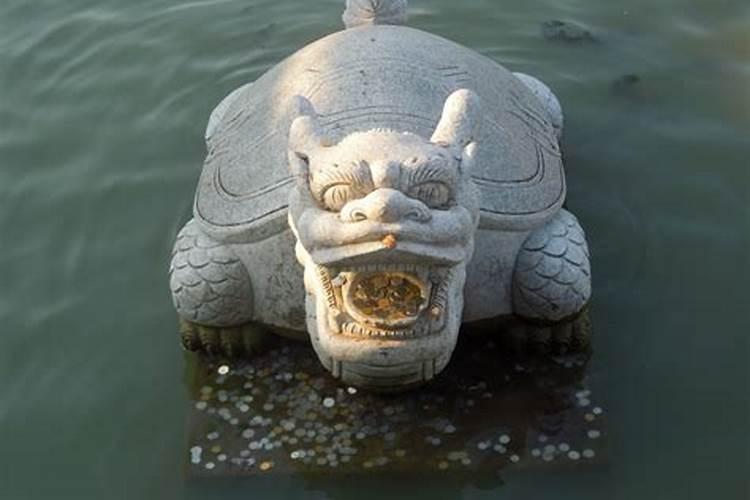梦见天然形成的巨石乌龟