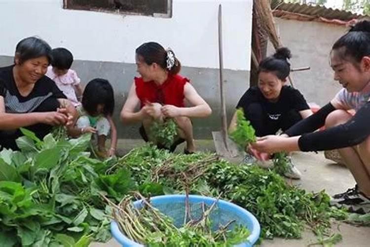 梦见有很多女人在一起