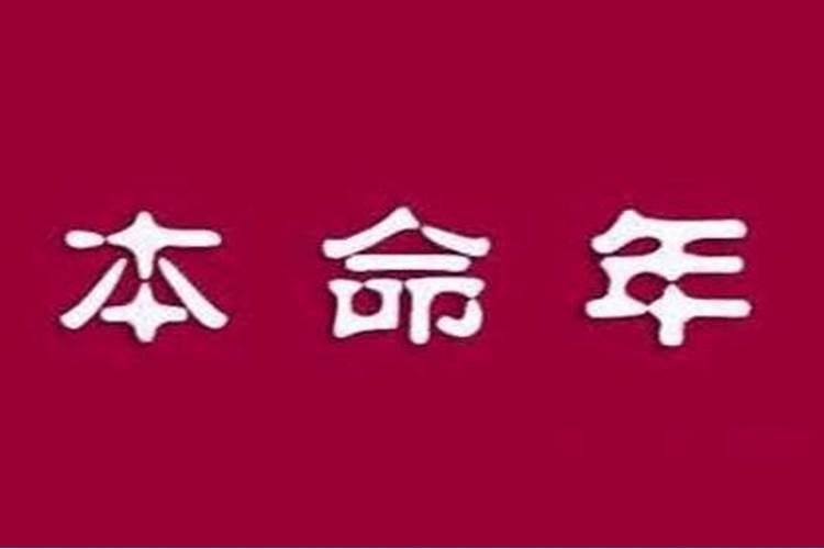 梦见自己生活在海上